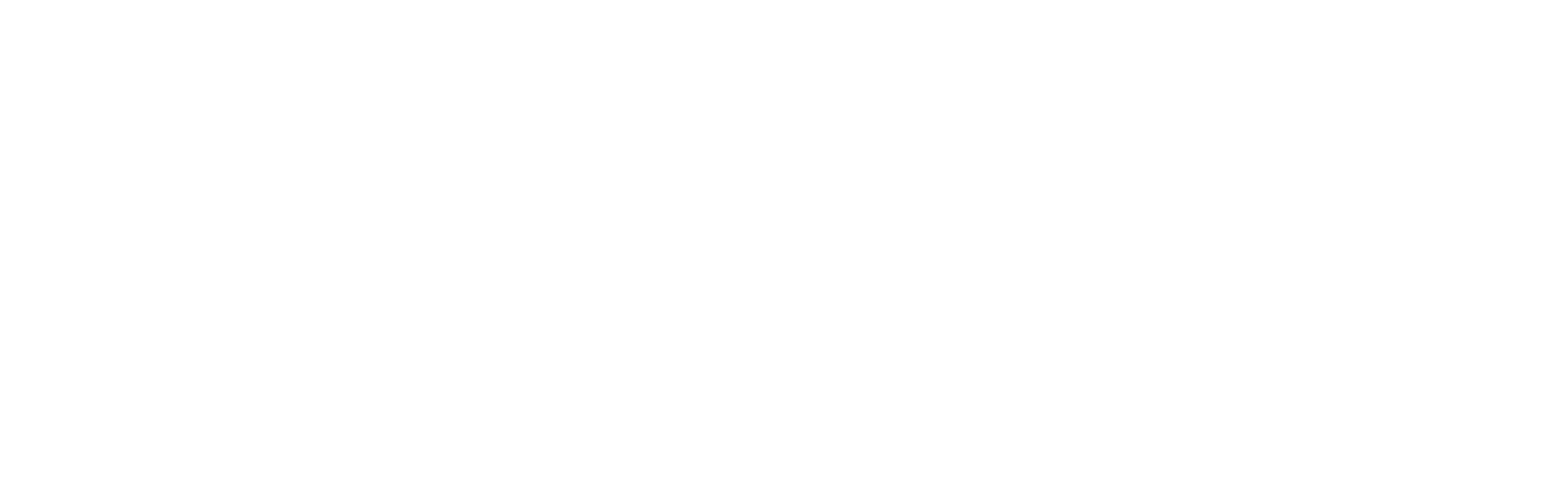 voicescape-logo-w-v-white-2